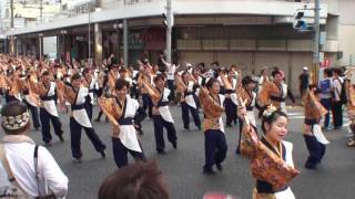 学生よさこいチーム～粋恋～　～2016高知よさこい祭り・本祭1日目(愛宕競演場)