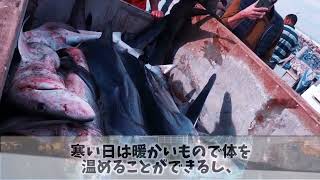 【海外の反応】「どうせ日本は廃れているでしょ！日本は貧困な国と聞いてるわ…」日本の宿を予約したドイツの撮影チームが、宿入り口の路地で思わず驚愕した理由