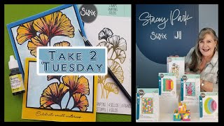 Class 5 -Take 2 Tuesday Class Featuring New Sizzix Releases \u0026 New Jacquard Inks both by Stacey Park