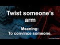 English idiom: Twist someone's arm - English Phrase - Meaning - Examples