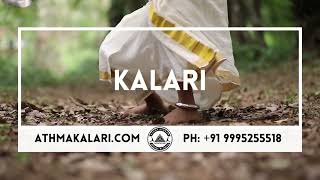 kalaripayattu  kalaripayattu in kerala kalari gurukul