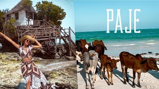 Zanzibar 2021 - is Paje the most beautiful beach ? #4