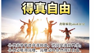 得真自由The truth will set you free.【經文歌創作】#730約翰福音John 8:31-36