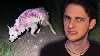 Exploring the Scariest Skinwalker Sightings.