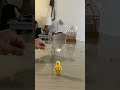 Punch stop motion