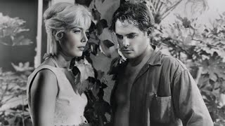 Private Property (1960) Classic Movie, Corey Allen, Warren Oates, Kate Manx | Full Classic Movie HD