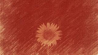 Joel Ansett - If You Really Knew (acoustic)
