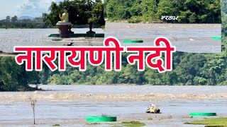 Narayani River Chitwan #चितवन नारायणि नदि #chitwan#nepal#narayaniriver#vlog#ashokgurung