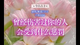 曾经伤害过你的人会受到什么惩罚？塔罗牌测试