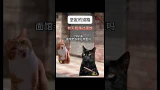 坚定的道路 #猫meme #喵不可言 #猫meme小剧场 #cat #喵 #感人 #真实改编 #shorts