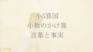 ナンバーワンゼミナール　小5算国　22,5,9 ダイジェスト版(小数のかけ算・言葉と事実)