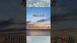 【釣り1分解説】\