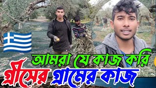 গ্রীসের গ্রামের কৃষি কাজ কেমন? আমরা গ্রিসে যে কাজ করি,  Agriculture in Greece