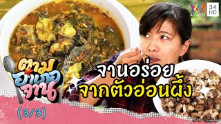 เมนูเด็ด เคยน้ำใส่ตัวอ่อนผึ้ง-แกงส้มปลาดุกใส่ใบกระเจี๊ยบ | ตามอำเภอจาน | 18 ธ.ค.64 (3/3)