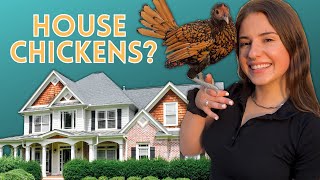 INDOOR PET CHICKENS... but why?