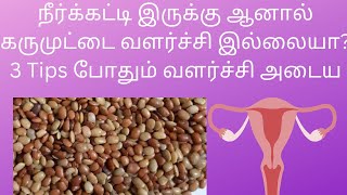 நீர்க்கட்டி இருக்கு ஆனால் கருமுட்டை வளர்ச்சி இல்லையா?3 Tips போதும் வளர்ச்சி அடைய @RainbowTalk91