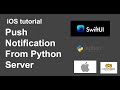 【SwiftUI】 Push notification from Python server