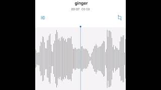 #駄菓子cOver型 - Ginger/TOMOO