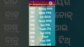 ପଶୁ ଶରୀରର ବିଭିନ୍ନ ଅଂଶକୁ ଜାଣିବାTo know body parts of animals # Trending Shorts