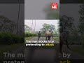 viral video captures tense encounter between man and elephant turns out to be a playful tease