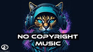 No Copyright EDM Mix 2023 - Perfect for Your Twitch and Youtube Videos | Forest Backyard