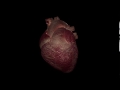 Heart Beating Animation