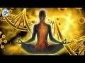 Full Body Healing Frequencies, 528 Hz, Alpha Waves, Whole Body Regeneration, Healing Meditation