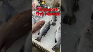 Singapore Fish Market