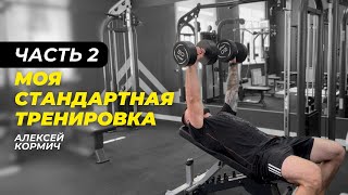 МОЯ СТАНДАРТНАЯ ТРЕНИРОВКА | ЧАСТЬ 2 | АЛЕКСЕЙ КОРМИЧ