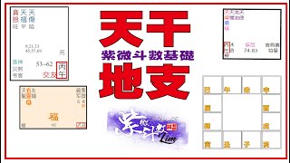 紫微斗數 | 基礎1 | 天干\u0026 地支 【科學看紫微】-大家來學紫微