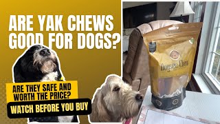 Yak Chews for Dogs: What are they, Are They Safe and Worth the Price?