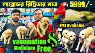 Recent Dog Puppy Price Update | dog market in kolkata | dog market in kolkata price | Pets's Kingdom