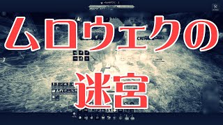 【黒い砂漠PC】ムロウェクの迷宮 / 【BDO】Murrowak's Labyrinth | Re:cybernetic - D'elf