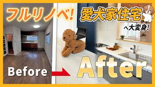 【ルームツアー】戸建てをリノベーションして犬と暮らす家に大変身！ワンちゃんと暮らすための素敵な工夫がいっぱいの愛犬家住宅！