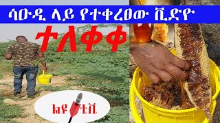 #ከሳዑዲ//// ቪድዮው ተለቀቀ//ብዙ ብር//ማር ቆረጣ