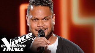 Florent Pagny (Terre) | Ritchy | The Voice France 2018 | Auditions Finales