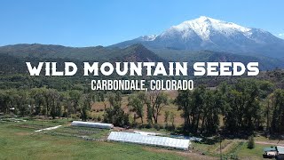 Wild Mountain Seeds: No-Till, High Elevation Organic Seeds \u0026 Vegetables