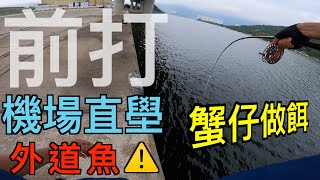 機場直壆前打丨外道魚亂入丨蟹仔做餌丨香港釣魚丨中文字幕丨4K