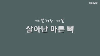 [영등포교회] 정달진 - 주일설교 : 살아난 마른 뼈