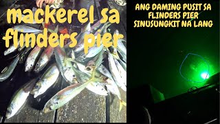 ANG DAMING PUSIT SA FLINDERS PIER SINUSUNGKIT NA LANG NILA.