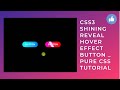 CSS3 Shining Reveal Hover Effect Button _ Pure CSS Tutorial