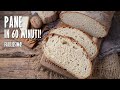 PANE IN 60 MINUTI (Non comprerete più il pane!) fatto in casa | Marianna Pascarella