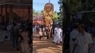 കുളമാക്കിൽ ഗണേശൻ Tholur Pooram 2023 Kulamakkil Ganeshan