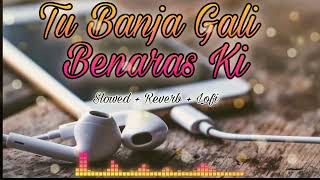 Tu Banja Gali Benaras Ki | Slowed + Reverb + Lofi | Relaxing Music | NOG WITH LOFI