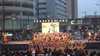 2014 3 16 浜松がんこ祭(浜よさ)　ヤマハ会場　ファイナル　名古屋学生チーム『鯱』