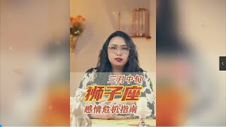 三月中旬，狮子座感情危机指南