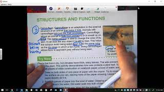 Science Stemscopes Structures and Functions