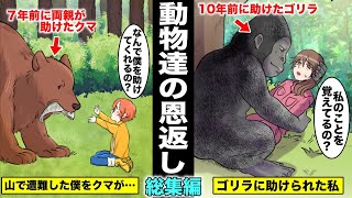 【漫画】昔助けた動物に恩返しされた人々…絶望的な状況で動物に助けられた動物たちと人間の心温まるストーリー・総集編