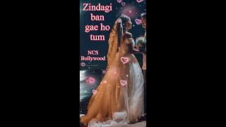 Zindagi Ban Gaye_New Nocopyright Hindi Song_New Nocopyright Bollywood Song.