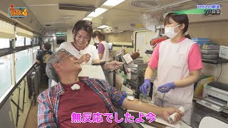 【うちなーなんばー1】☝第706回☝【公式】2023.11.5放送